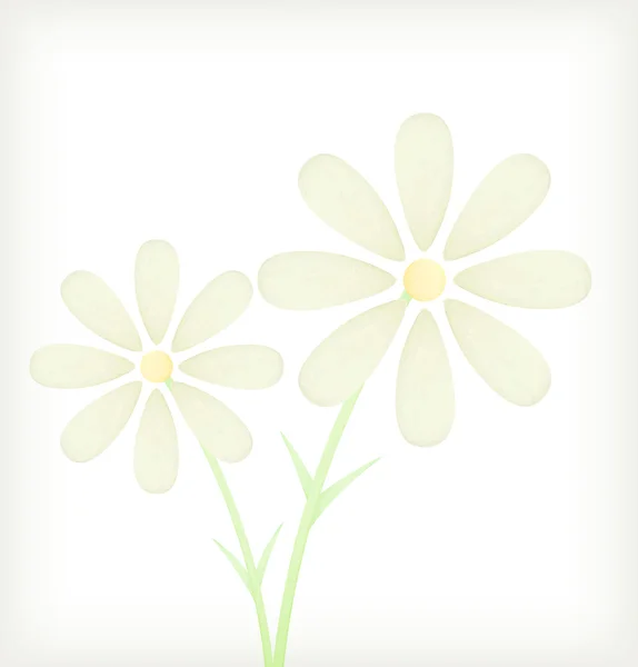 White daisy watercolor painted — Stock Vector