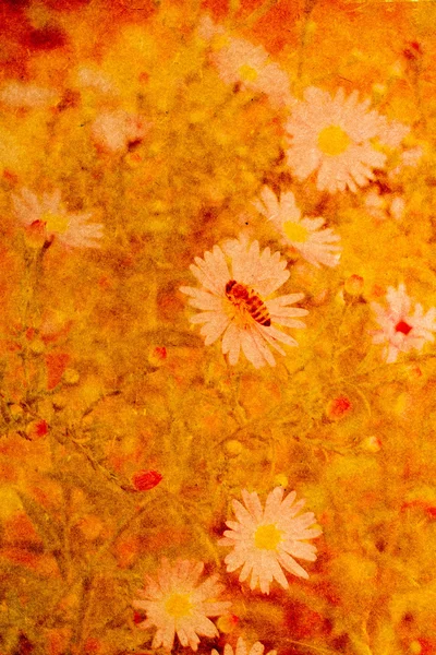 Old grunge background with daisies — Stock Photo, Image