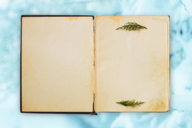 Kış zemin üzerine eski açık kitap