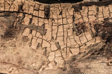 ahşap tahta kırık