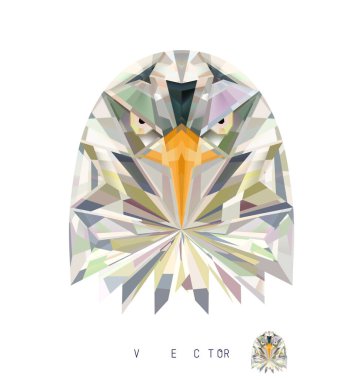 Kel Kartal Kafa Vektör İllüstrasyonu