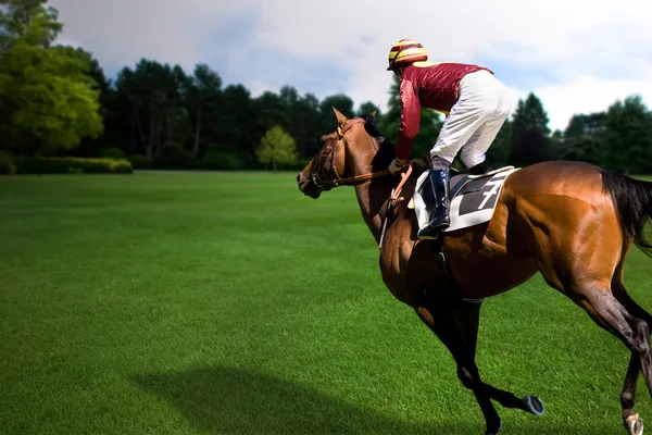 Passeio a cavalo — Fotografia de Stock