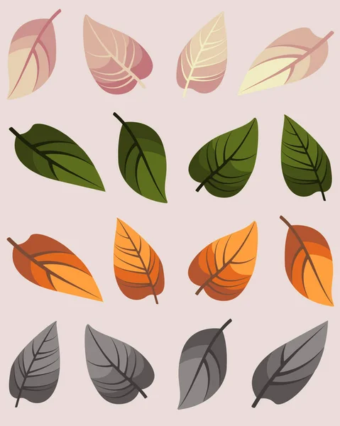 Petite Collection Feuilles Colorées Feuilles Printemps Été Automne Hiver Pour — Image vectorielle