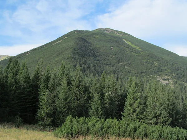 Een berg in de Karpaten — Stockfoto