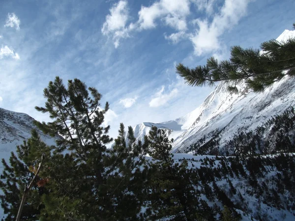 Сибірська гір Зимова декорація — стокове фото