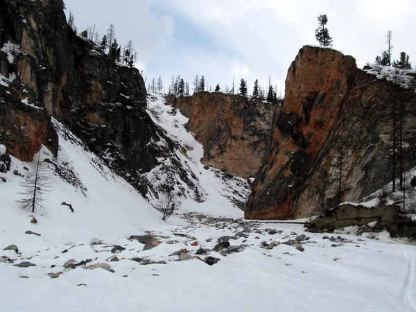 Banques de canyon gelées en Sibérie — Photo