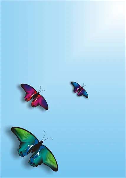 Mariposas voladoras — Vector de stock