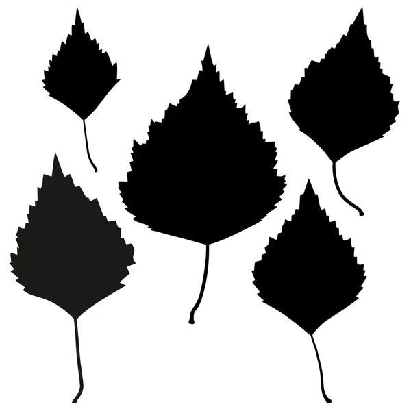 Set of vector black birch leaves outline — Stock Vector