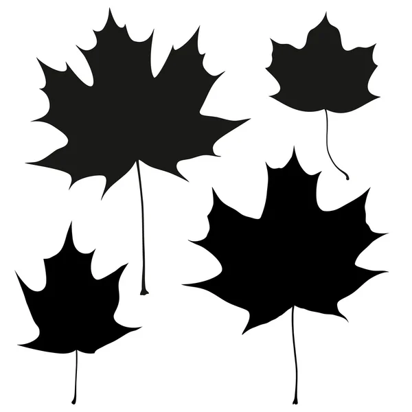 组的向量黑枫树叶轮廓 — 图库矢量图片