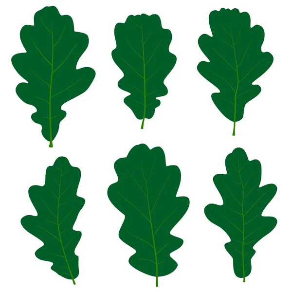 Ensemble de feuilles de chêne vert vecteur pour votre design — Image vectorielle