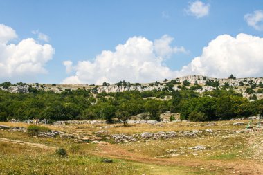 Kırım'ın dağ orman manzarası