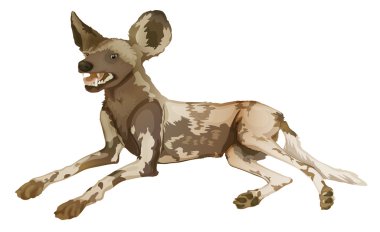 Afrika vahşi köpeği