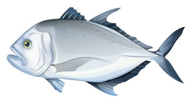 trevally dev
