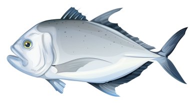 Giant trevally clipart