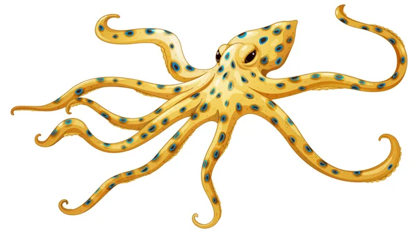 Blauwgeringde octopus — Stockvector
