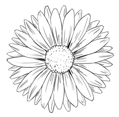 çiçek şekil ve form