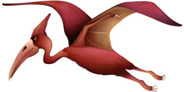 uçan pterosaur