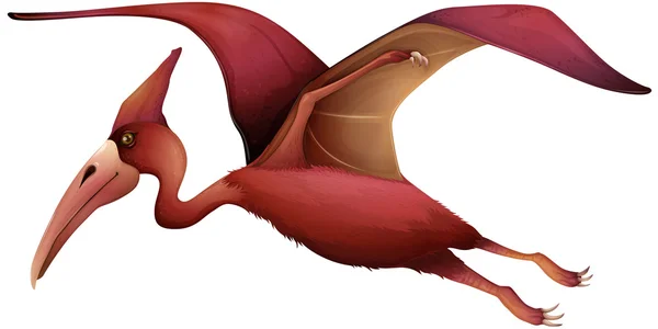 Vliegende pterosaur — Stockvector
