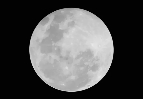 Earth's Moon — Stock Vector