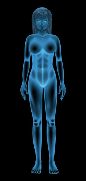 Kvinnlig kropp — Stock vektor
