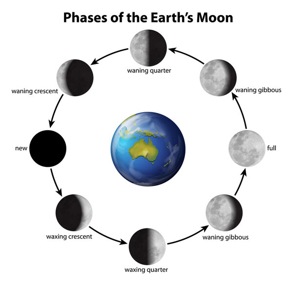 Phases of the Moon