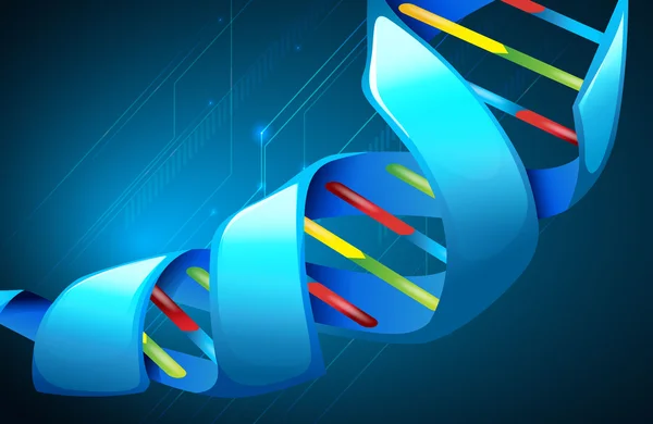 Deoxyribonucleic Acid — Stockvector