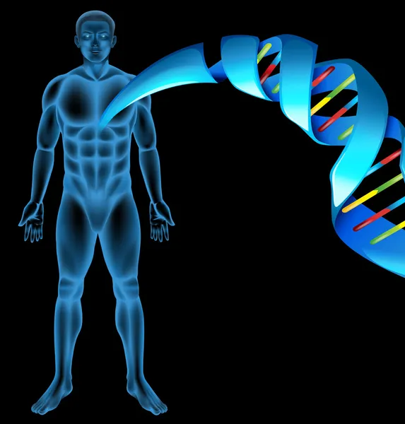 デオキシリボ核酸deoxyribonukleové kyseliny — Stockový vektor