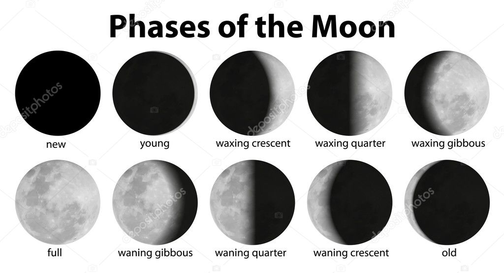 Phases of the moon stock vector blueringmedia 17818571