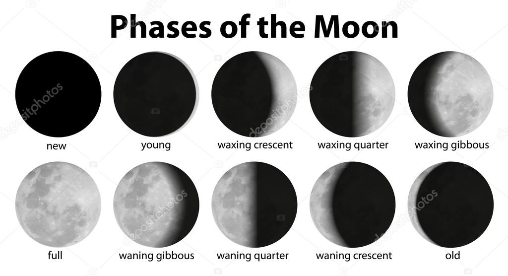 Phases of the Moon