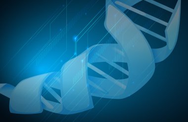 DNA çift sarmal