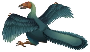 Archaeopteryx