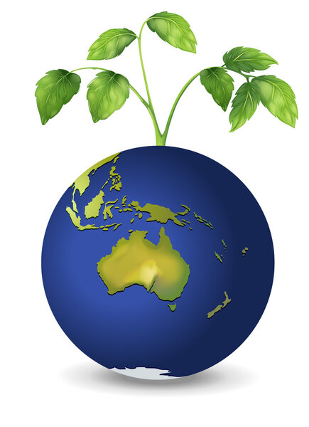 A plant above the planet earth