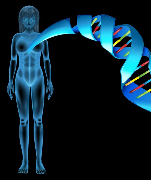 Acide désoxyribonucléique — Image vectorielle