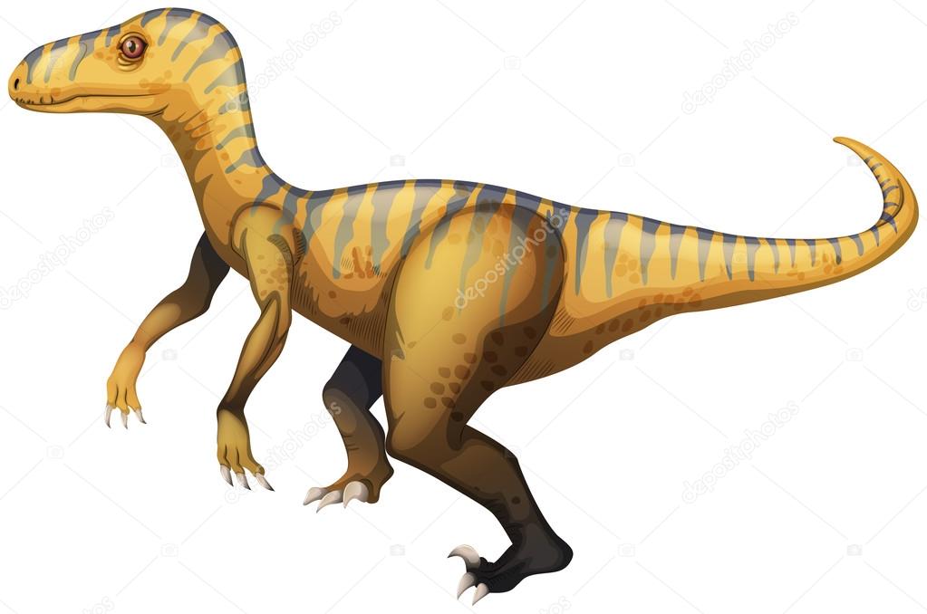 Velociraptor