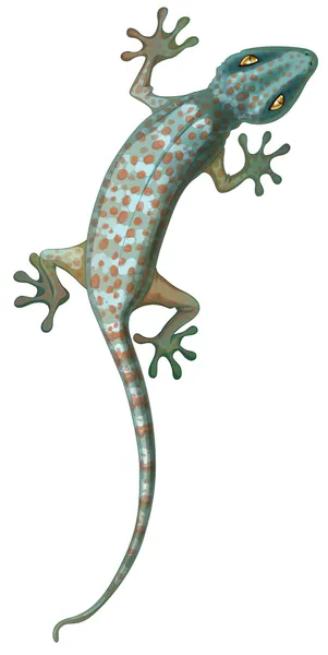 Tokay Gecko. — Archivo Imágenes Vectoriales