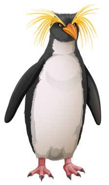 Rockhopper penguin clipart