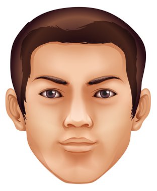 insan yüzü