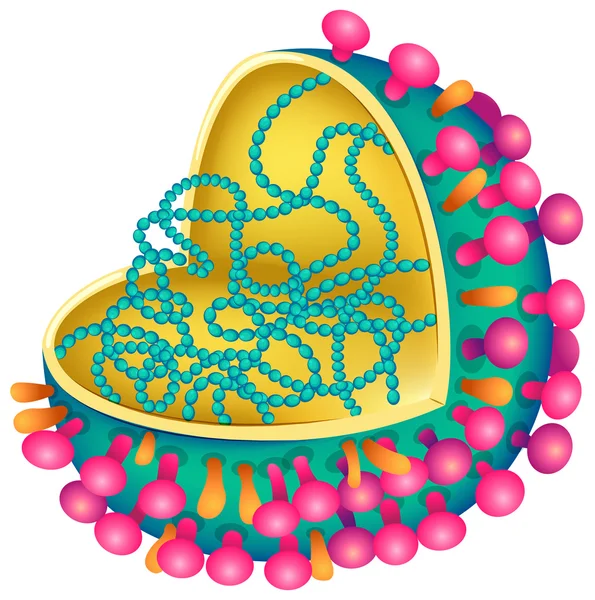 Вирус гриппа — стоковый вектор