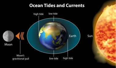 Tidal movements on Earth clipart