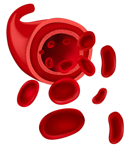 Красные кровавые клетки