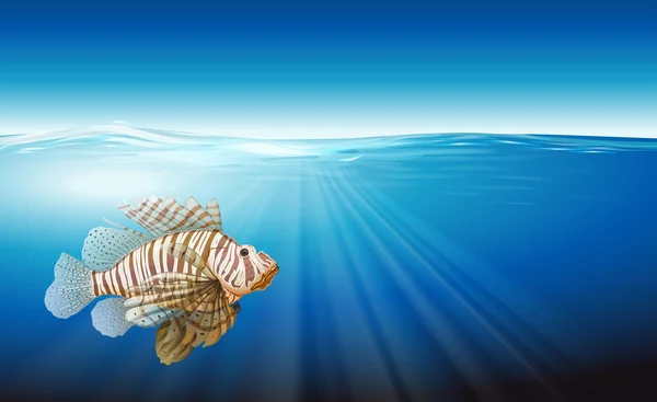Bir lionfish — Stok Vektör
