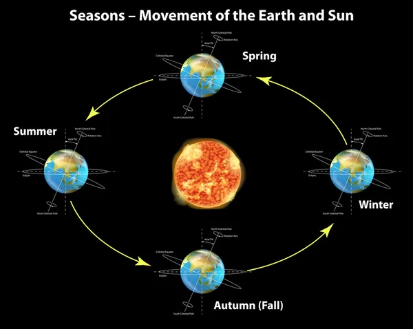 Сезоны — стоковый вектор