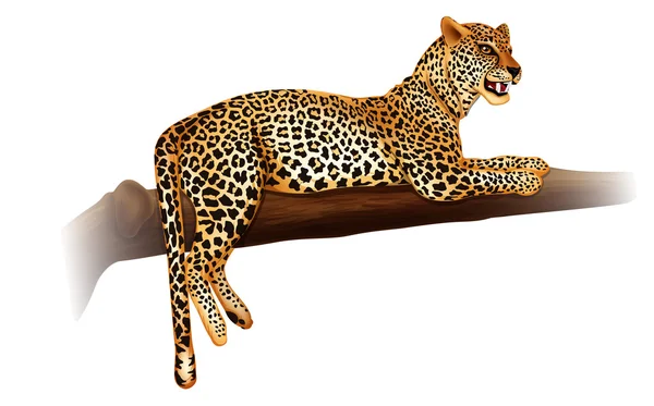 Cheetah — Stock Vector