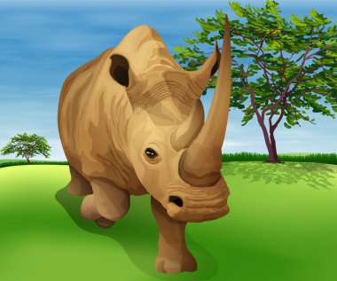 Rhinoceros clipart