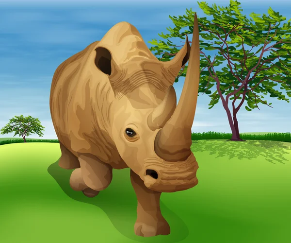 Rhinocéros — Image vectorielle