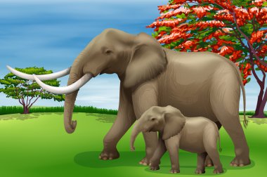 Elephant clipart