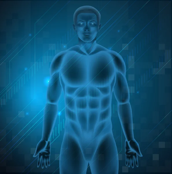 Людського тіла — стоковий вектор