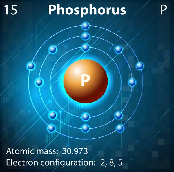 Phosphorus — Stock Vector