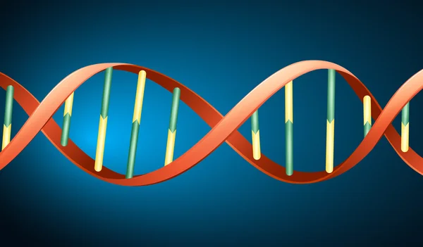 DNA umano — Vettoriale Stock