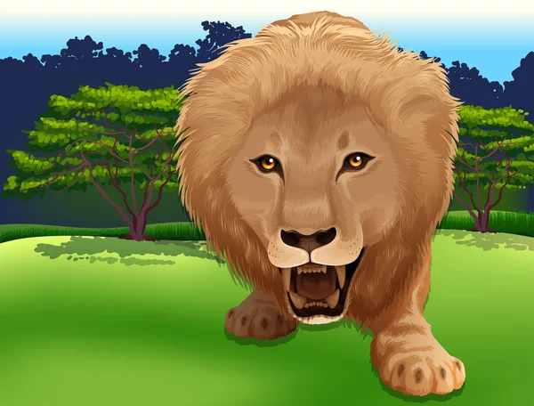 Roi de la jungle — Image vectorielle